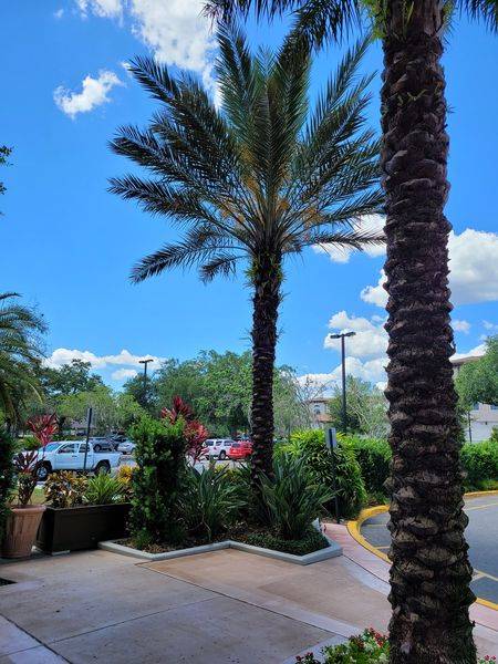 Orlando Health Dr. P. Phillips Hospital
